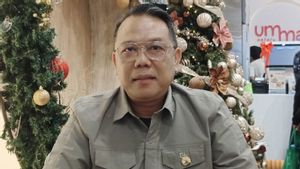   Satgas Damai Cartenz Sita 29 Pucuk Senpi dari KKB