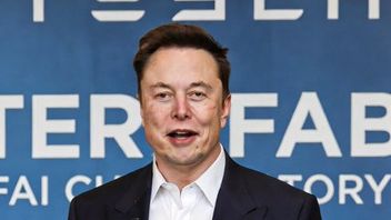 Elon Musk prépare une « usine de puces géante » Tesla, le projet Terafab AI sera lancé la semaine prochaine