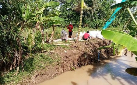 Tanggul Jebol di Cilacap Rendam 15 Hektare Sawah, Alat Berat Dikerahkan untuk Penanganan