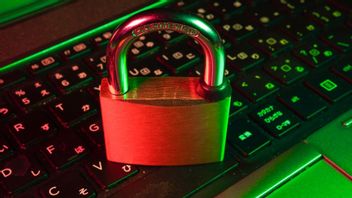 Voici les conseils d’experts pour protéger l’entreprise contre les attaques de phishing financières