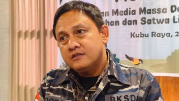 Head Of West Kalimantan BKSDA: Wildlife Smuggling Actions Are Worrying