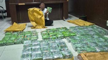 L'équipe de coopération douanière d'Aceh a échoué à faire circuler 60 kg de stupéfiants