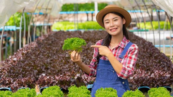 Perbedaan Akuaponik dan Hidroponik yang Kerap Dianggap Sama Padahal Berbeda