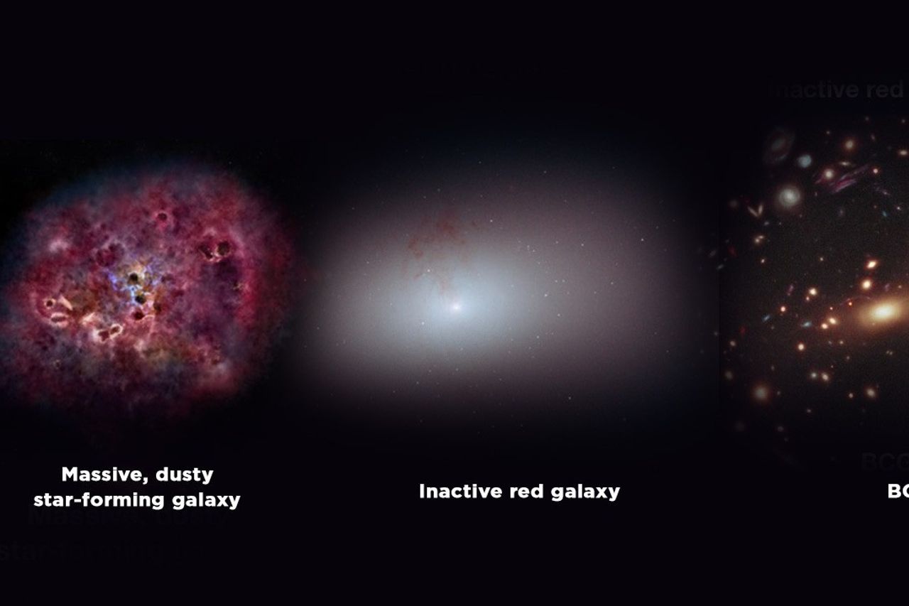 宇宙の初期の創造に生きた珍しいモンスター銀河を知る