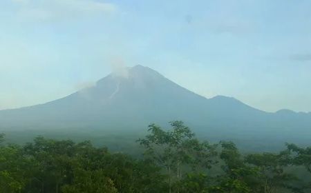 Pengungsi Semeru: Siang Pulang ke Rumah Cek Ternak, Malam Tidur di Pengungsian