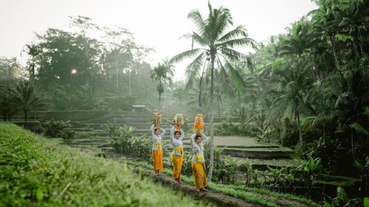  Pemkot Denpasar Gandeng PHRI Promosikan Pariwisata Secara Daring