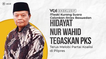 ビデオ：独占、2017年のジャカルタ・ピルカダから学ぶ今回はHidayat Nur WahidがPKSは勝利しなければならないと断言