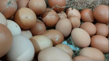 西ジャワの卵と唐辛子の価格は急騰し、ビジネス関係者は政府に確固たる態度を取るよう求めている