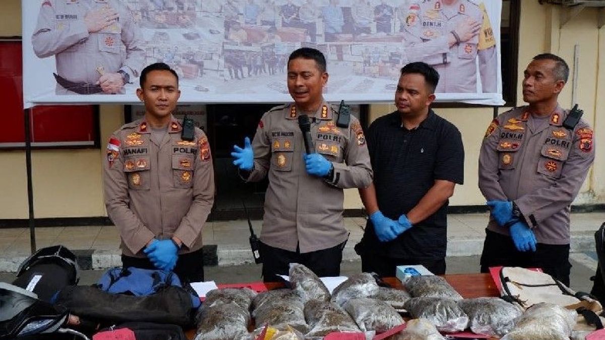 警察がジャヤプラで8.7キログラムのマリファナを密輸したPNG住民を逮捕