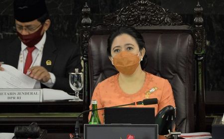 Banjir di Sejumlah Daerah, Puan Maharani: Pemerintah Harus Sigap Selamatkan Warga, Rakyat Jadi Prioritas