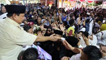 TKN Respons JK: Prabowo Tidak Emosi, Justru Diam dengan Kesabarannya
