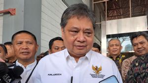 Airlangga Reveals Bilateral Cooperation Is The Key To Indonesia's Growth