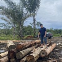 Kemenhut Tindak 11 Entitas Usaha Diduga Ikut Sebabkan Banjir-Longsr Tapsel