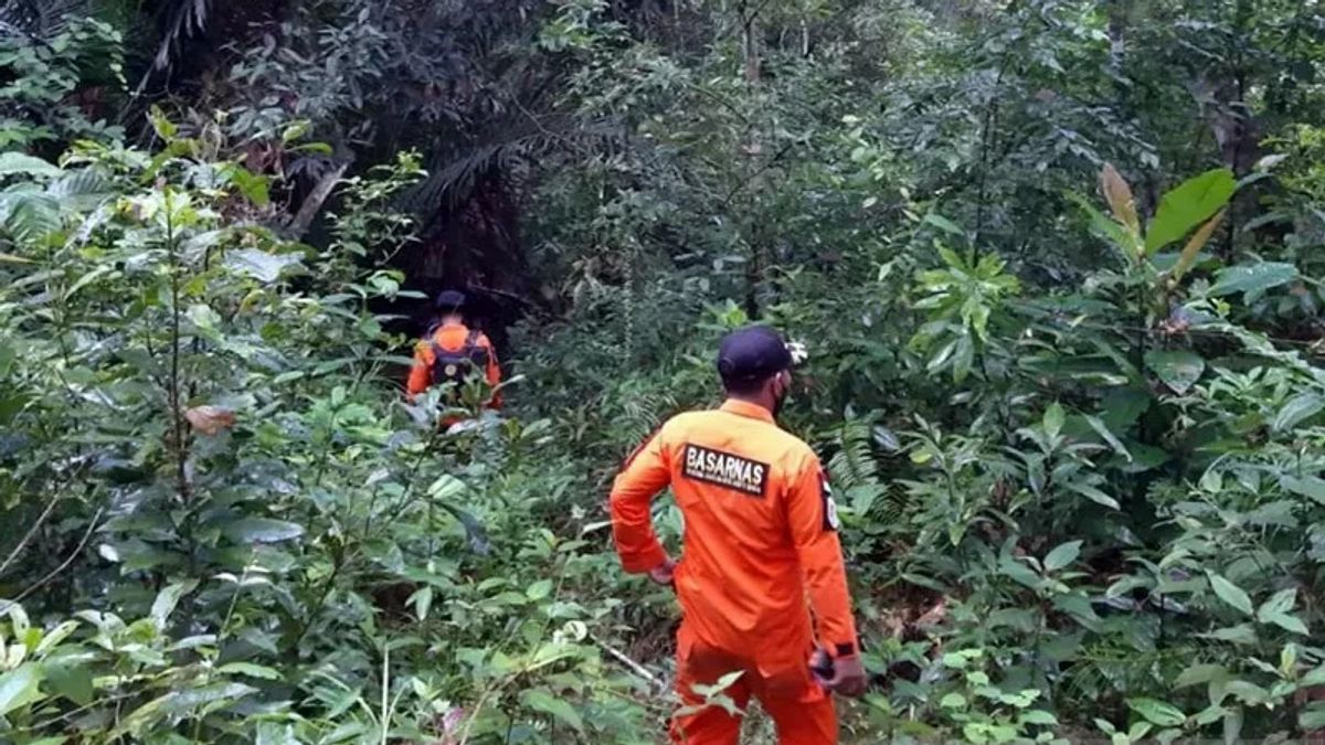 Guyuran Hujan Jadi Kendala SAR Temukan 2 Pencari Emas yang Hilang di Hutan Bengkulu