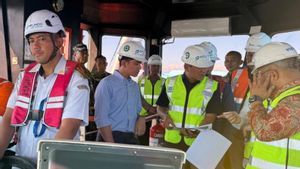 Vice President Gibran Reviewed Sea Shelter Points From The Top Of The Raflesia Flower Ship