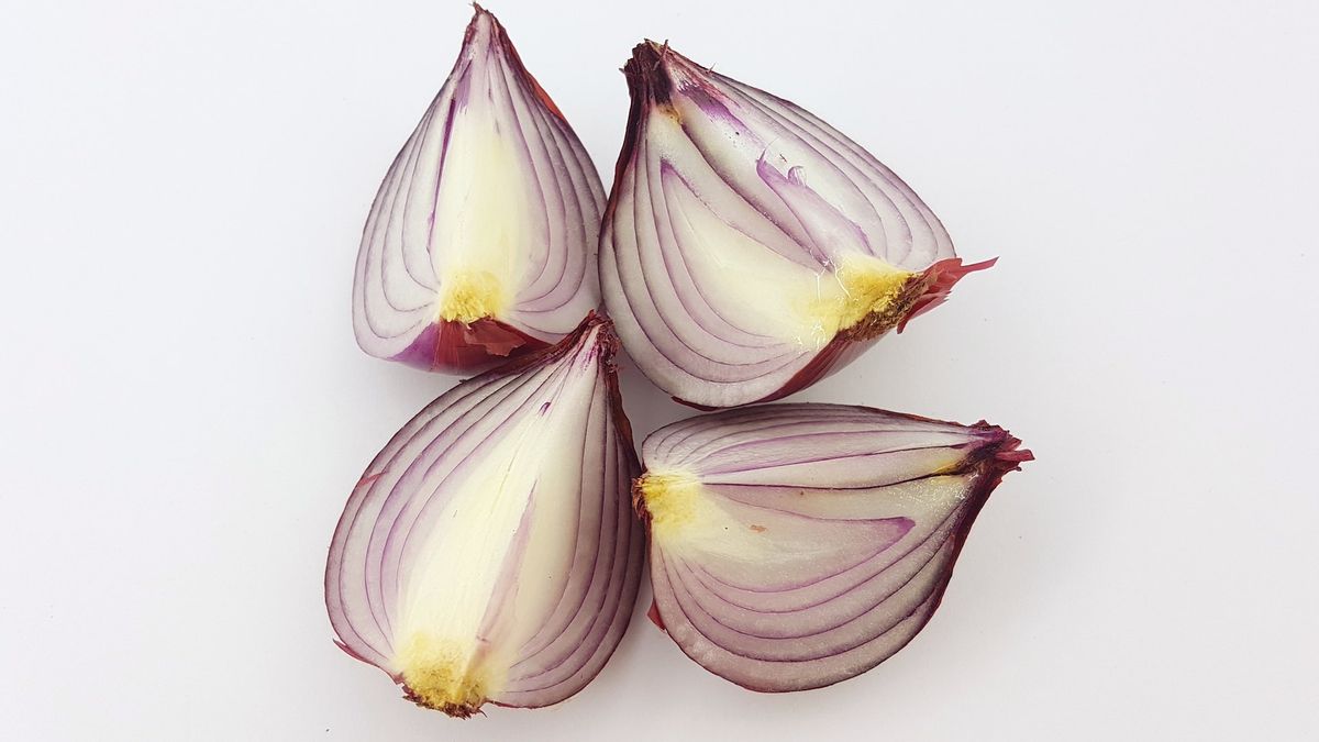 How To Save A Red Onion In Kulkas So That Awet And Not Fast Busuk