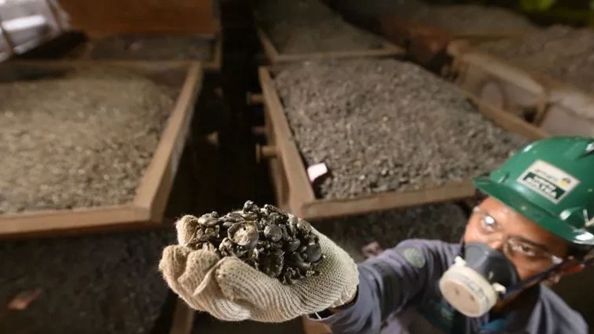 Vale maintient la production de nickel de 2024 jusqu’à 70 800 tonnes