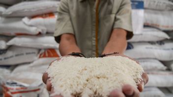 جاكرتا - تأمل حكومة مقاطعة جاوة الغربية أن تتمكن من التآزر مع باباناس من تأمين توافر الأرز