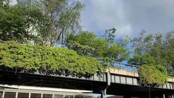 New York Sontek, Pramono Will Turn Mangkrak Land Turn Into A Park