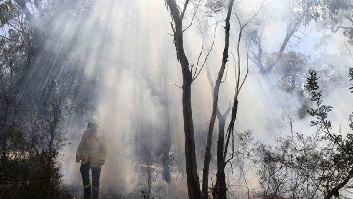 Anticipating To Be Like 2020, Kubu Raya Regency Government Of West Kalimantan Prevent Forest And Land Fires Ahead Of 2023 Dry Season