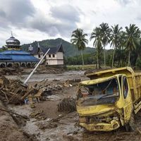 Ide Patungan Beli Hutan adalah Bentuk Kekecewaan Publik terhadap Pemerintah