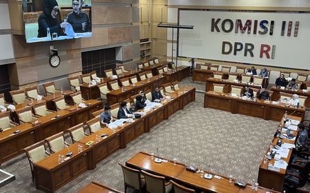 Terlibat Kasus Dugaan Penipuan Berlian, Penyanyi Reza Artamevia Minta Perlindungan Hukum ke DPR