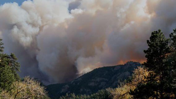 ilés : Dix personnes mortes par les incendies de Los Angeles