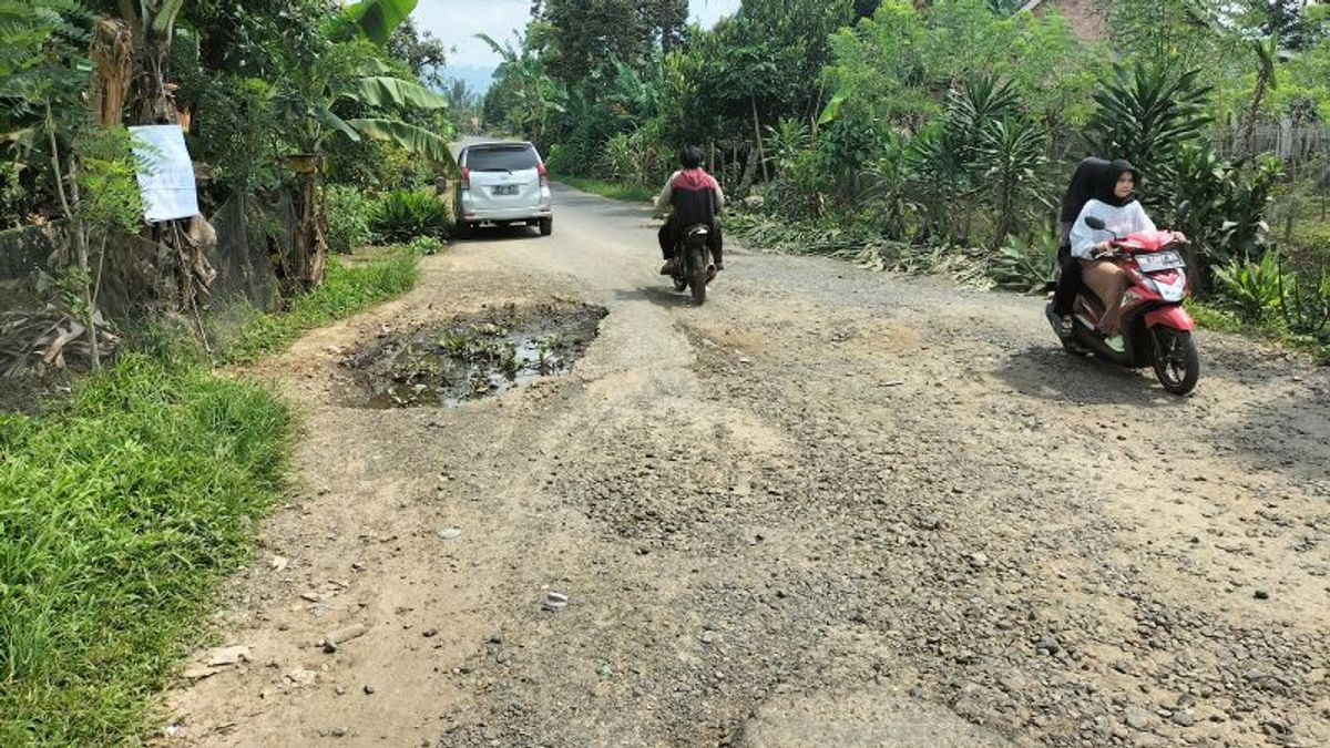 Way Tenong-West Lampung Surian Building Liaison Road Is Severely Damaged, Residents Are Annoyed To Plant Eceng Gondok