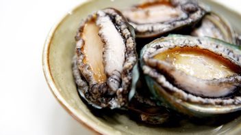 Various Benefits Of Abalone Shell For Health, Have You Ever Tried It?