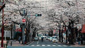 Studi: Tokyo Jadi Kota Terbaik untuk Tempat Tinggal
