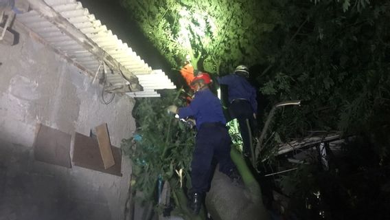 Strong Wind Impact, Five Trees In East Jakarta Collapsed, Hit House, Car And Injured One Person