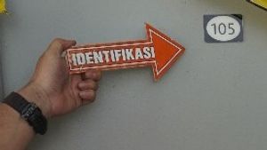 Keluarga Minta Tolong ke Panglima TNI Ungkap Misteri Kematian Arya Daru 