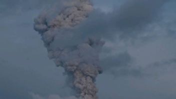 Abu Tebal Membumbung Setinggi 2000 Meter dari Aktivitas Gunung Ibu di Halmahera Barat