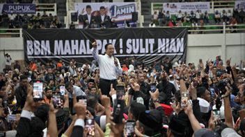 Puan Calls It Interesting To Carry Anies In The Jakarta Pilkada, NasDem Still Sees Developments