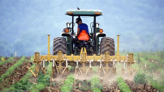 NTT Sediakan 109 Traktor Dukung Program Tanam Jagung Panen Sapi