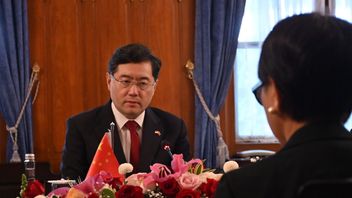 Foreign Minister Qin Gang Calls on China to Liaise with All Parties to Seek Armistice in Ukraine