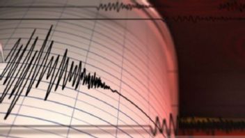 Gempa 4,5 Magnitudo Guncang Kota Jayapura Papua, BMKG Minta Warga Waspada Susulan