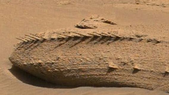 NASA's Curiosity Explorer Finds Dragon Bones On Mars