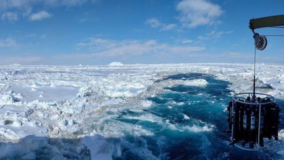 NASAは南極海のサンプル水を観察して地球外生命の兆候を探します