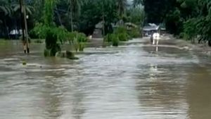 Trans Sulawesi Terendam Banjir, Jalur Mamuju-Majene Terputus