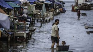 BMKG Ungkap 19 Provinsi Berpotensi Banjir Rob Hingga 31 Juli