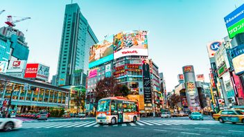 Japan Investigates 2000-3000 Yen Fee for Foreigners Visiting