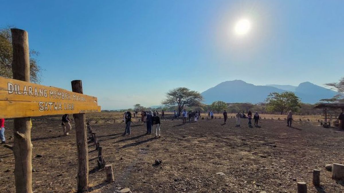 Les attractions touristiques du parc national de Baluran ont été fermées en raison de fortes pluies et de chutes de vent