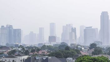 Beware, Air Pollution Can Trigger Cancer