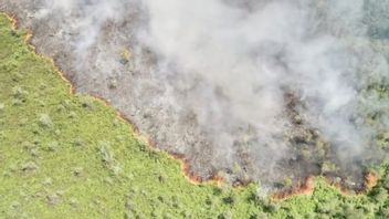 40 Hectares Of Land In Kotawaringin Burns, Local Government Needs Fire Helicopter Assistance
