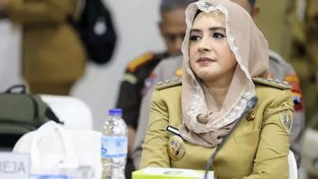 鉴于Fadia A Rafiq在发表有争议的声明后回归的歌曲