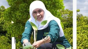 Gubernur Jatim Ajak Masyarakat Jaga Alam Lewat Tanam dan Rawat Pohon