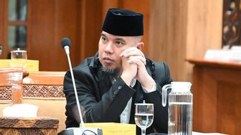 Ahmad Dhani Responds To Agnez's Statement Regarding Requests For Political Support