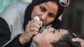 Praise The Progress Of Polio Vaccination In Gaza, The Head Of UNRWA Calls For A Permanent Armistice