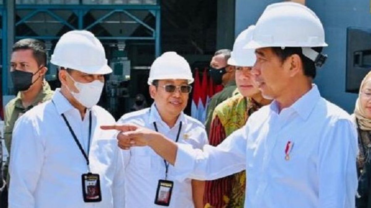 Jokowi Asks Bulog Perum To Absorb As Many Farmers As Possible